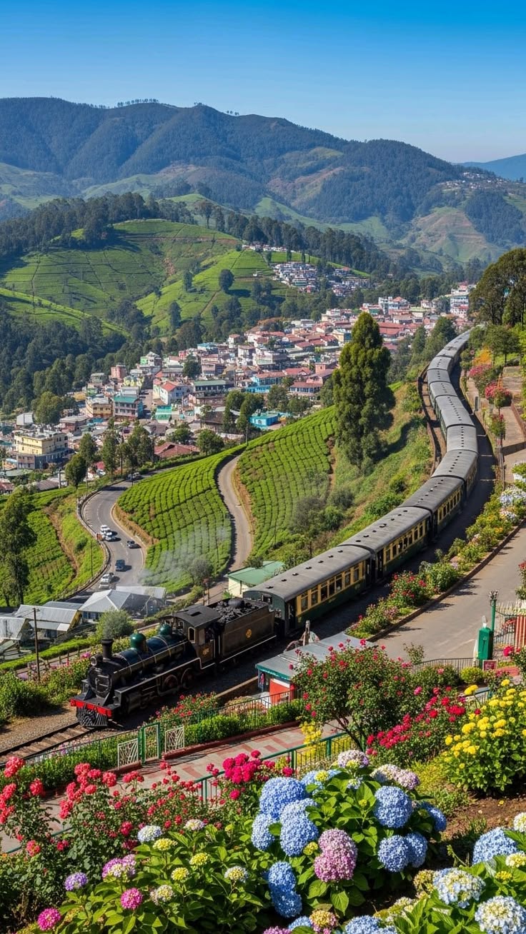 Ooty